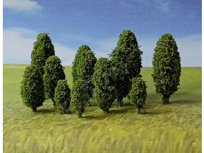 Light Green Poplar Trees